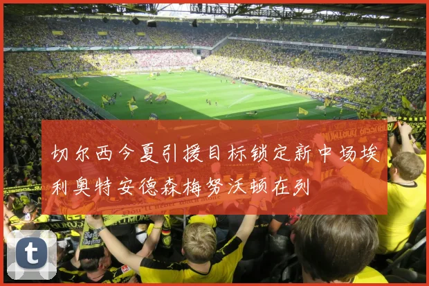 切尔西今夏引援目标锁定新中场埃利奥特安德森梅努沃顿在列